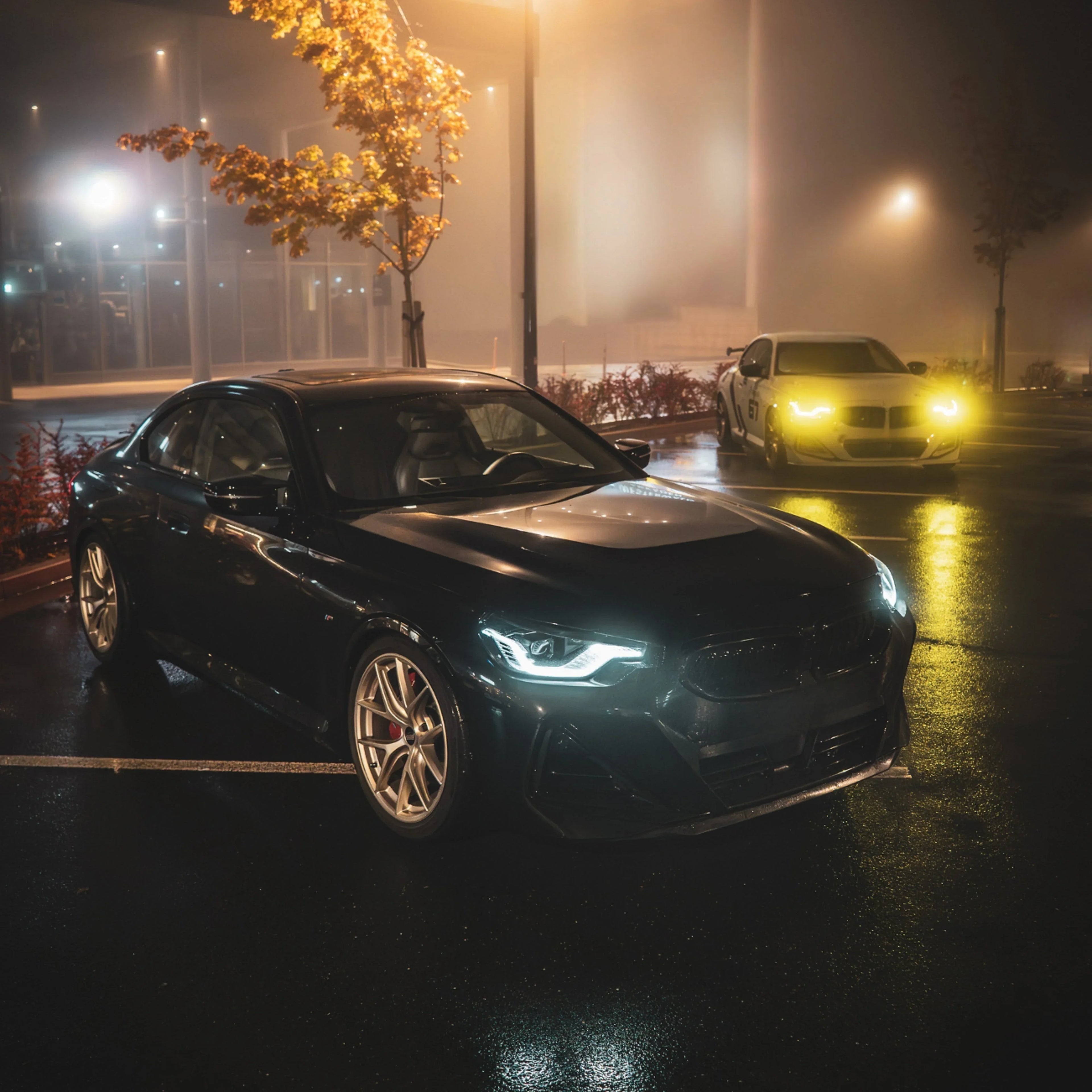 Fetter Mops Collection